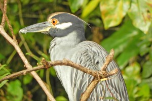 Rundreisen Costa Rica