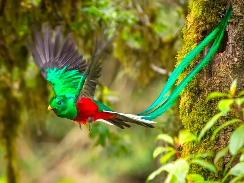 Sehenswürdigkeiten Costa Rica